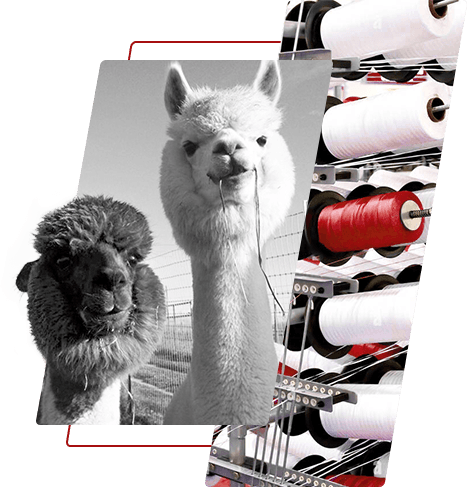 Obojena poliesterska pređa